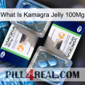 What Is Kamagra Jelly 100Mg viagra5